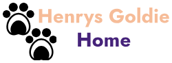 Henrys Goldie Home